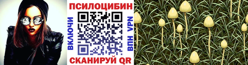 Галлюциногенные грибы Psilocybine cubensis OMG Новоузенск